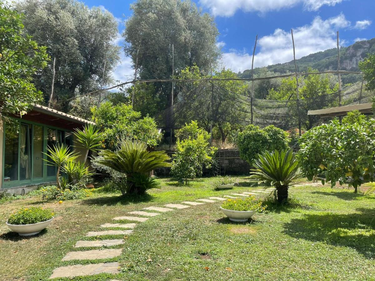 Casa Sorrento, Immerso Nel Verde A Pochi Passi Dal Centro Экстерьер фото
