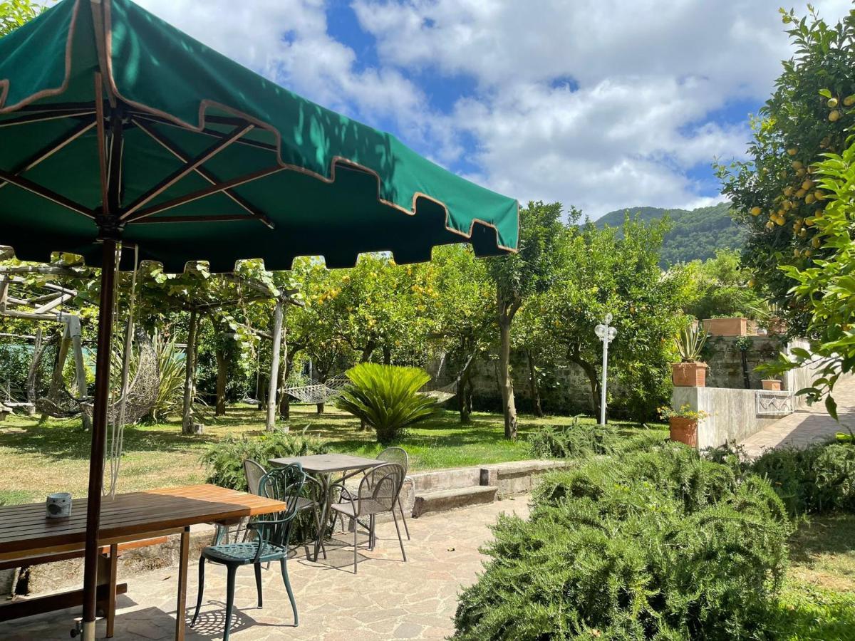Casa Sorrento, Immerso Nel Verde A Pochi Passi Dal Centro Экстерьер фото